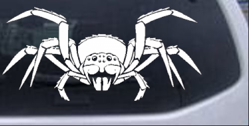 Spider Animals car-window-decals-stickers