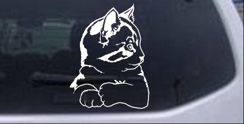 Kitten Animals car-window-decals-stickers