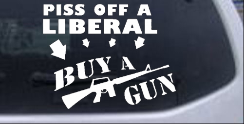 Funny Gun Control Political car-window-decals-stickers
