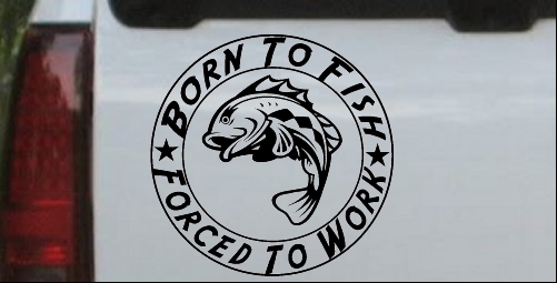 Born To Fish Forced To Work Car or Truck Window Laptop Decal Sticker  10X10.0