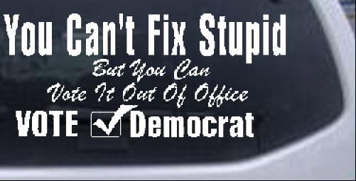 you cant fix stupid Political car-window-decals-stickers