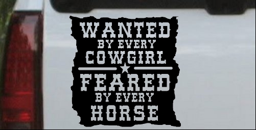 Wanted By Cowgirls Feared By Horses