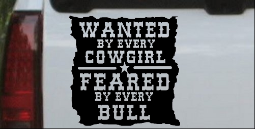 Wanted By Cowgirls Feared By Bulls