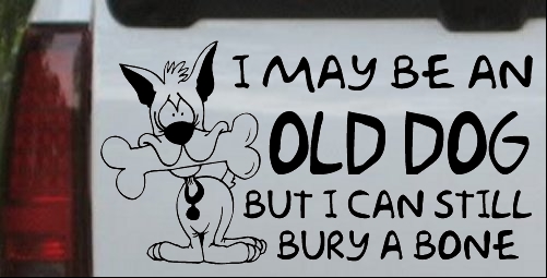 Funny I May Be An Old Dog Decal