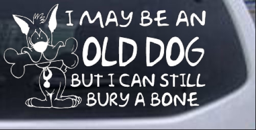 Funny I May Be An Old Dog Decal Funny car-window-decals-stickers