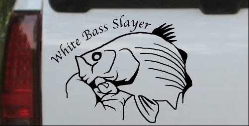 White Bass Slayer Fishing Decal