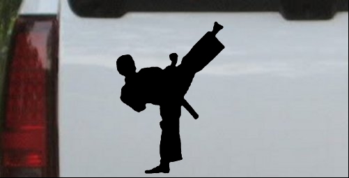 Karate Ninja Decal