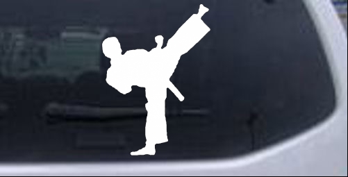 Karate Ninja Decal Sports car-window-decals-stickers
