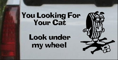 Looking For Your Cat Decal