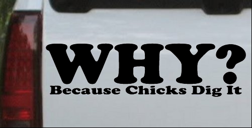 Why Because Chicks Dig It Decal