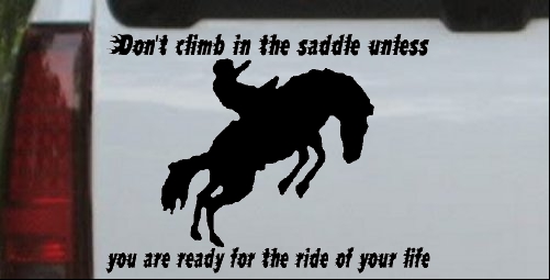 Ride Of Your Life Rodeo Decal