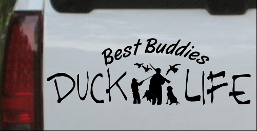Duck Life Best Buddies