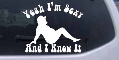 Funny Im Sexy And I Know It Trucker Funny car-window-decals-stickers