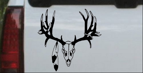 Big Buck Skull With Feathers