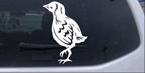 Baby Chick Animals car-window-decals-stickers