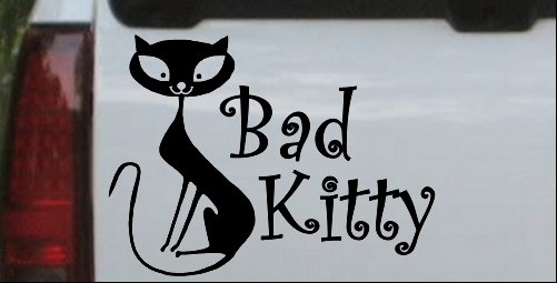 Slim Cat Bad Kitty