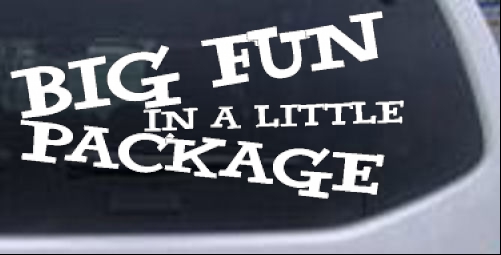 Big Fun in a Little Package Words car-window-decals-stickers