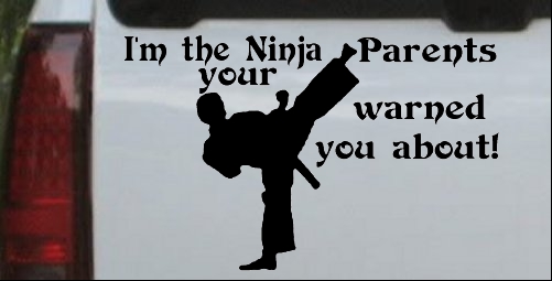 Im The Ninja Your Parents Warned You About