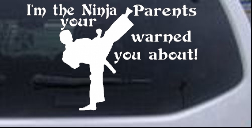 Im The Ninja Your Parents Warned You About Funny car-window-decals-stickers