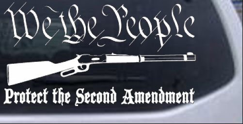 I PROTECT MY RIGHTS AND LIFE . Vinyl Decal . 2nd Amendment Guns Car Sticker