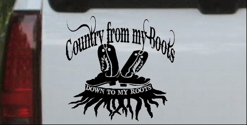 Country From My Boots To My Roots