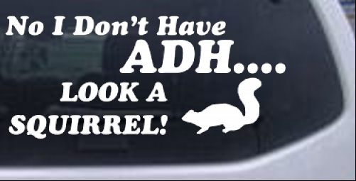 Funny ADHD Look A Squirrel Funny car-window-decals-stickers