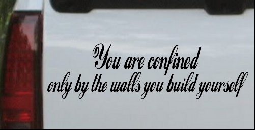 You Are Confined Only By The Walls You Build Yourself