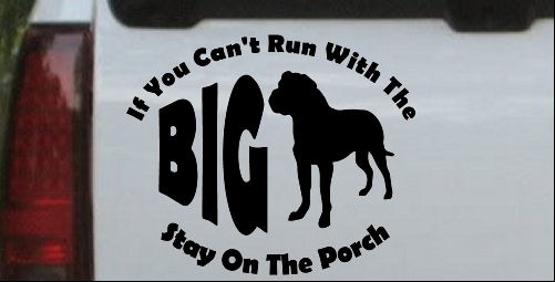 Run With The Big Dog