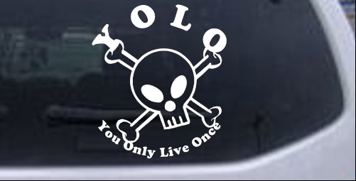 YOLO You Only Live Once Cute Skull Skulls car-window-decals-stickers