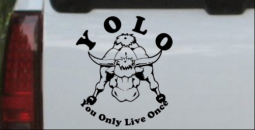 YOLO You Only Live Once Big Bull