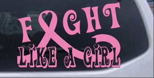 Fight Like A Girl Breast Cancer Car Truck Window Laptop Decal Sticker Pink 6in