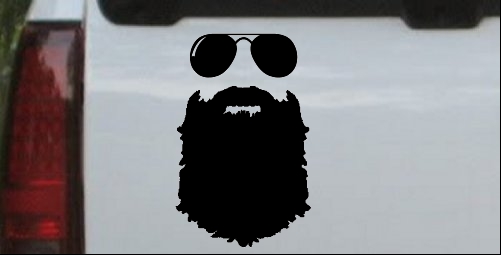 Rugged Beard With Sunglasses