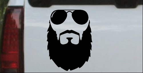 Fu Manchu Beard With Sunglasses