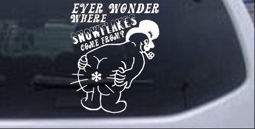 Where Snowflakes Come From Funny car-window-decals-stickers