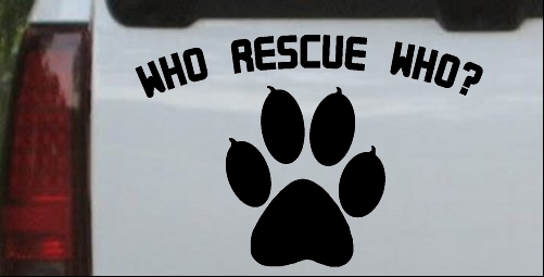 Who Rescue Who