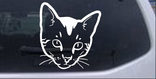 Short Haired Cat Face Animals car-window-decals-stickers