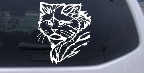 Long Haired Cat Face Animals car-window-decals-stickers