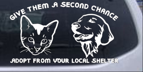 Give Pets A Second Chance Adopt From Local Shelter Animals car-window-decals-stickers