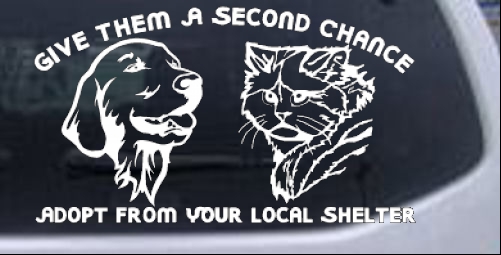 Give Pets A Second Chance Adopt From Local Shelter Long Hair Cat Animals car-window-decals-stickers