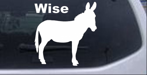 Wise Ass Funny car-window-decals-stickers
