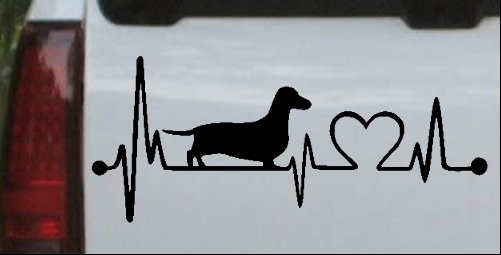 Dachshund Heartbeat Lifeline Monitor Dog 
