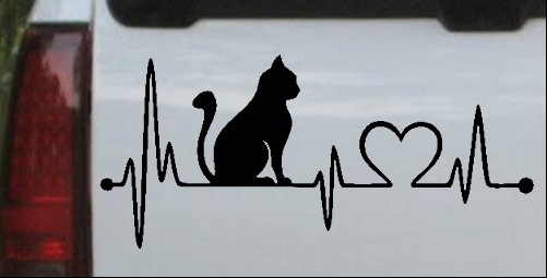 Cat Heartbeat Lifeline Love