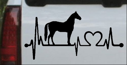 Horse Heart Heartbeat Lifeline Love