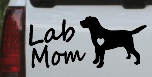 Lab Mom Labrador Retriever Dog