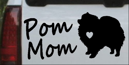 Pomeranian Pom Mom Dog 