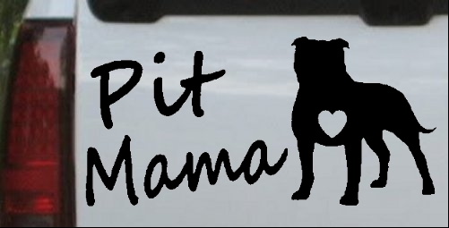 Pit Bull Mama Dog