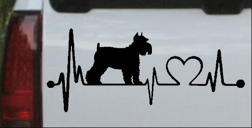 Schnauzer Heartbeat Lifeline Dog
