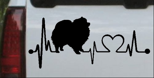 Pomeranian Dog Love Heartbeat Monitor