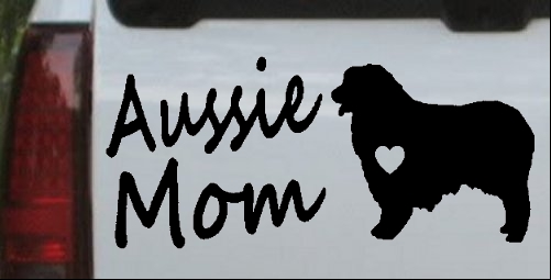 Australian Shepherd Aussie Mom Dog