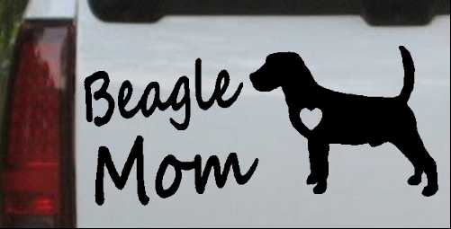 Beagle Mom Dog